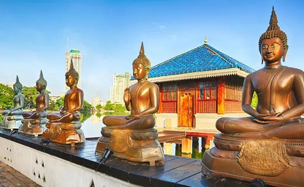 Sri Lanka Tour